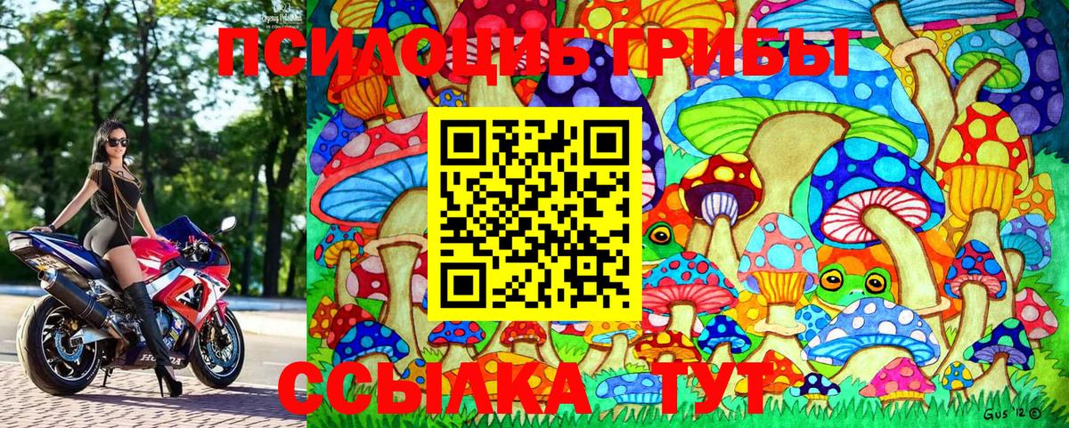 Псилоцибиновые грибы Cubensis  Вход с VPN  Златоуст 