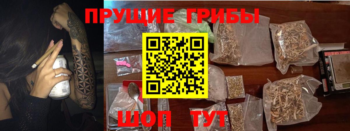 Псилоцибиновые грибы Psilocybine cubensis Златоуст